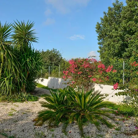 Stunning In With Wifi * Comiso